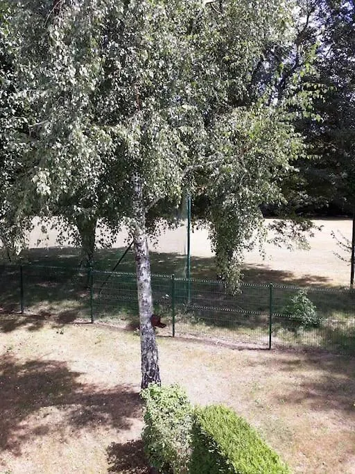 Les Cottages Du Golf A Ploemel Holiday home